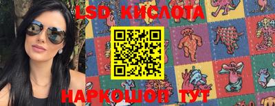 амф Кандалакша