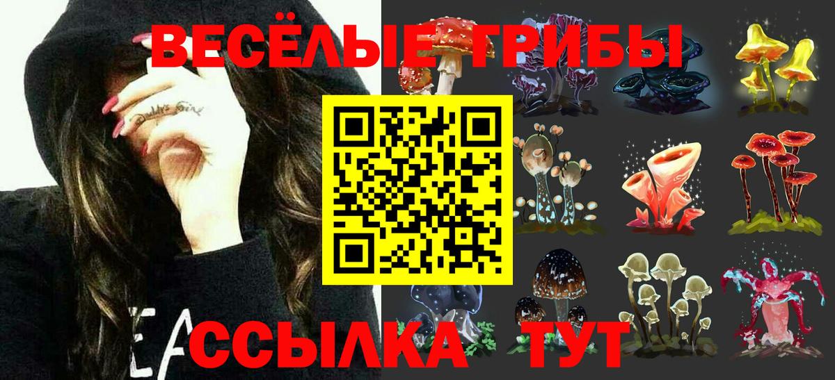 Галлюциногенные грибы прущие грибы Кыштым