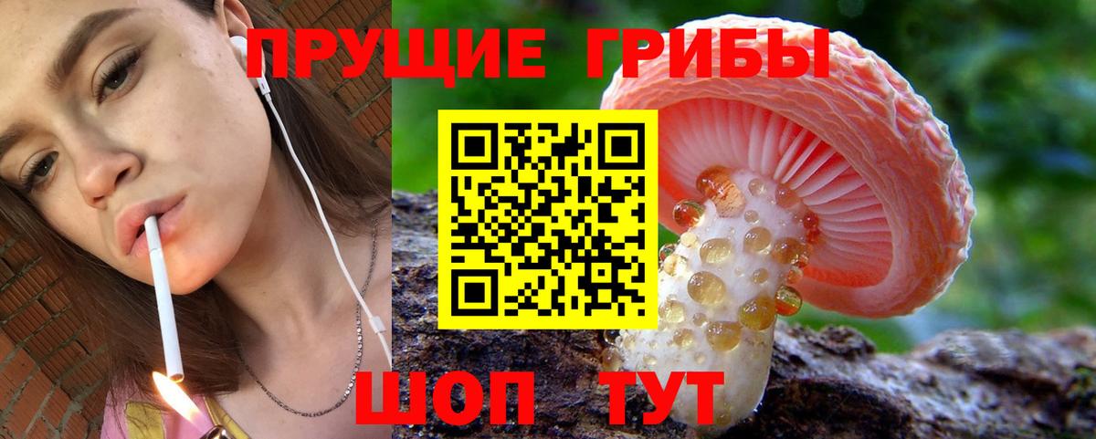 где найти наркотики  Галлюциногенные грибы мицелий  Кыштым  Вход с VPN  Галлюциногенные грибы Cubensis 