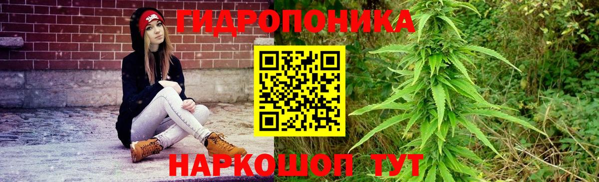 Конопля гибрид Кыштым